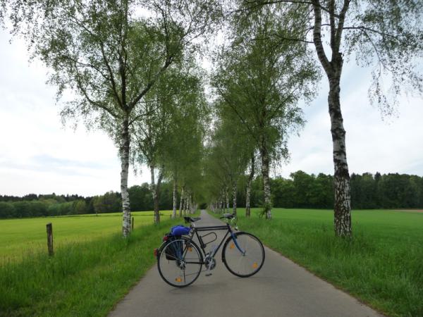 Mit dem E-Bike den Westerwald erkunden