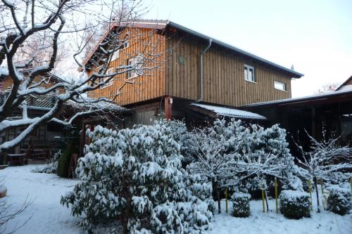 westerwald-ferienhaus-Gartenblick-im-Winter-002